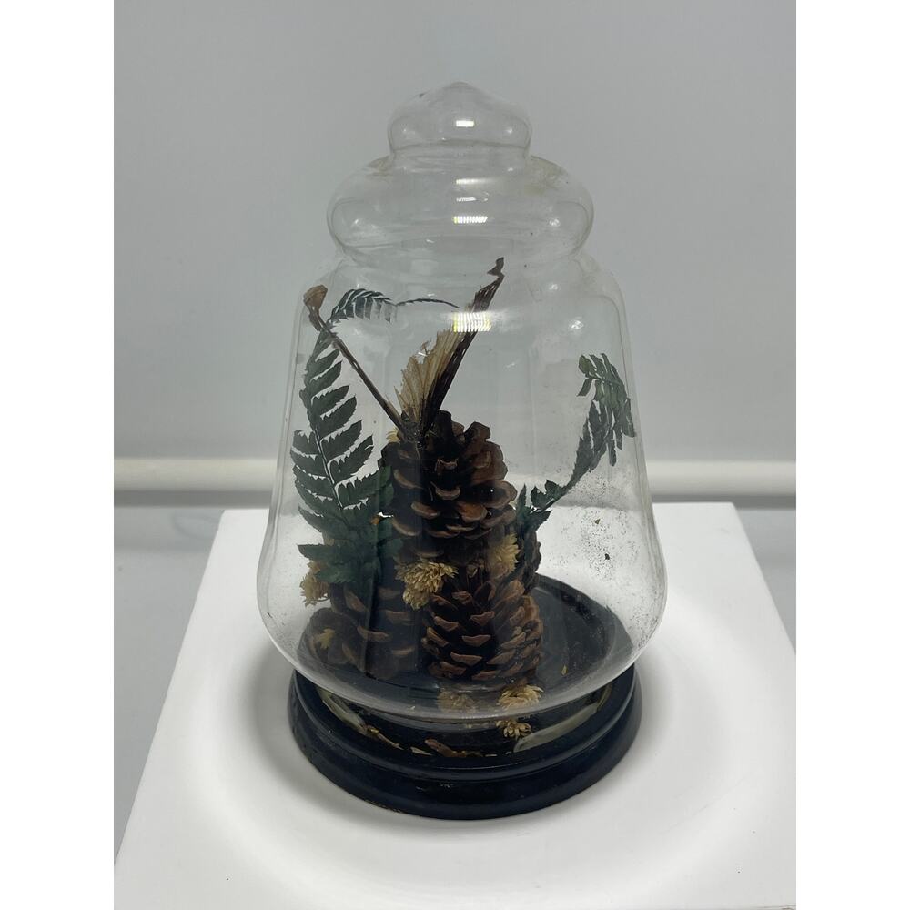 Vintage Bell Jar retro 1970s Preserved Butterly Flower Botanical Display Decor